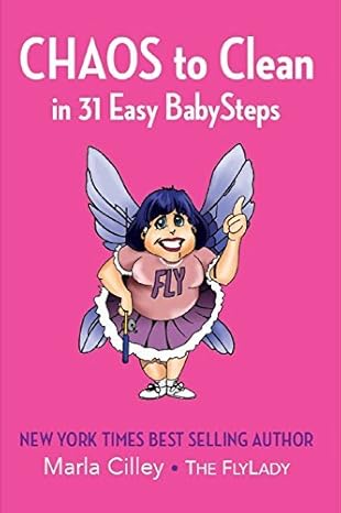 Chaos to Clean in 31 Easy BabySteps Book(Digital Download)
