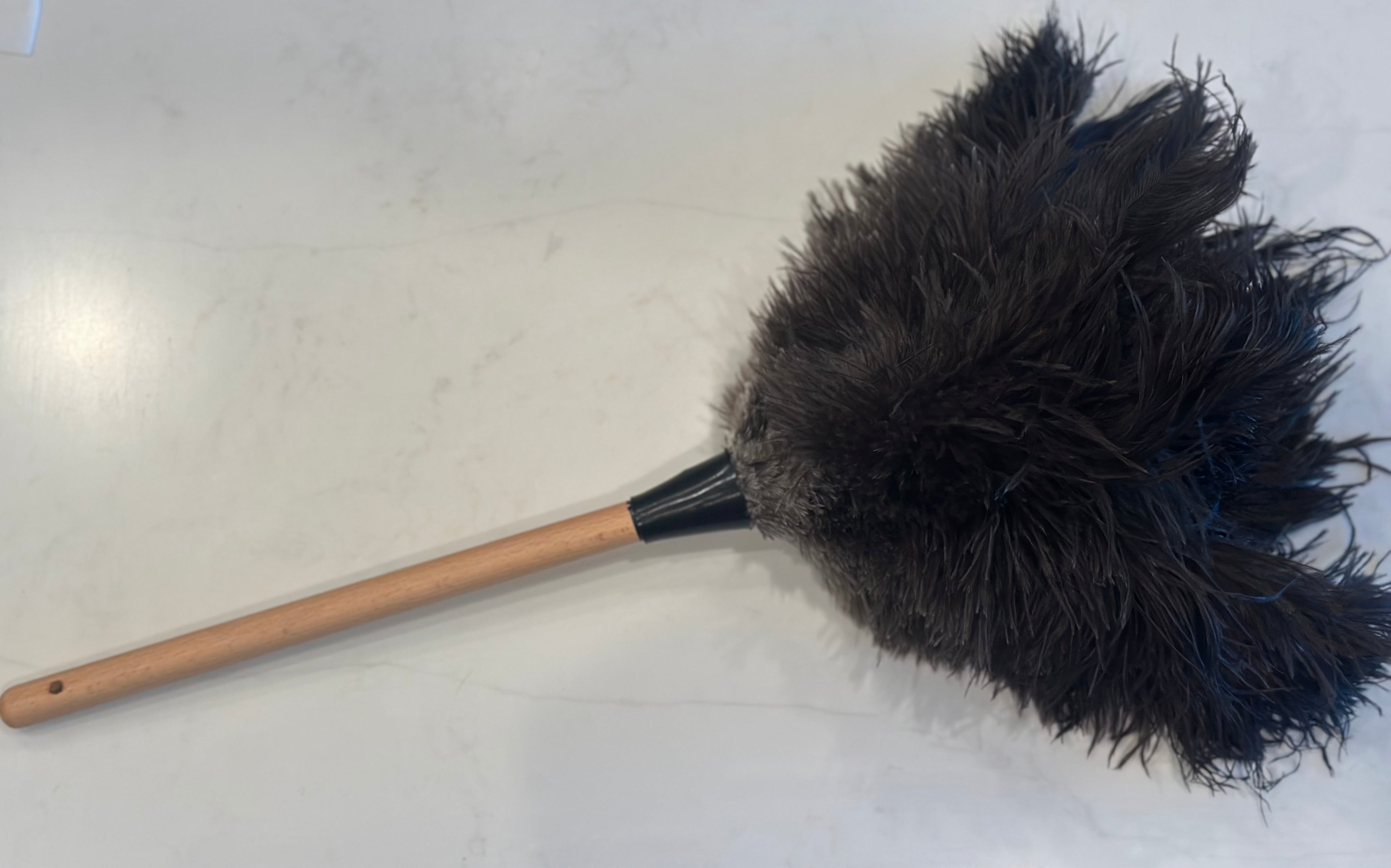 FlyLady Ostrich Feather Duster – The FlyLady FlyShop