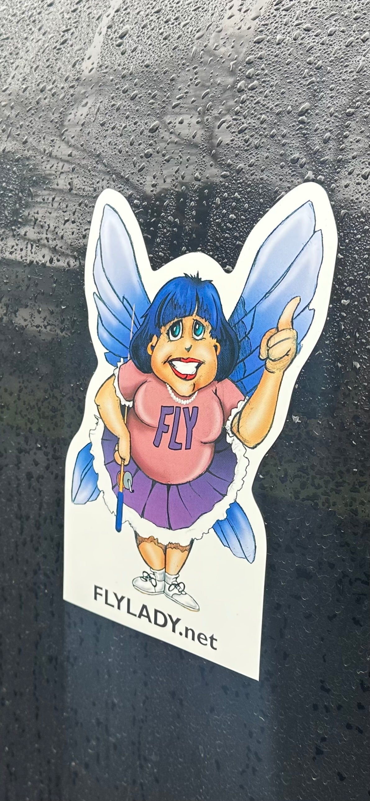 FlyLady's Car Magnet